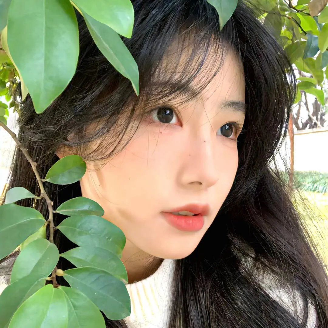 黑礁第三季