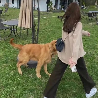 爹哋要结婚,身家冇得分